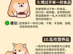 -翊宠yipet猫狗购宠庄园