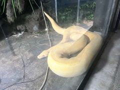 -合肥野生动物园