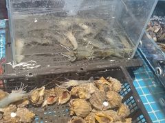 -九月海·海鲜自助(世纪东方店)