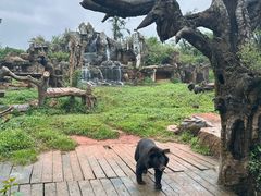 -海南热带野生动植物园