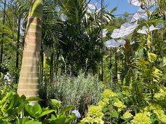 -深圳仙湖植物园