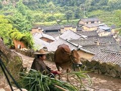 -杨家堂村