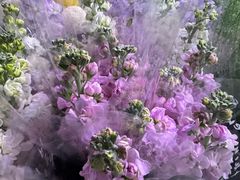 -爱尚鲜花店(粤通综合楼店)