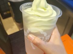 -萨朗刀克冰淇淋雪花凉(植物园店)