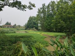 -桤木河湿地公园