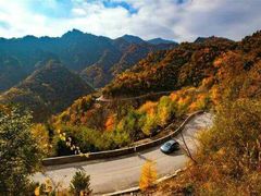 -白草畔自然风景区