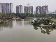 -王借岗森林公园