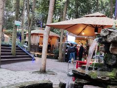 -二荆条·蜀鲜汇城市森林火锅