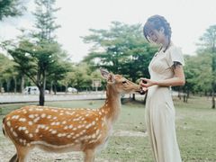 -清迈夜间动物园