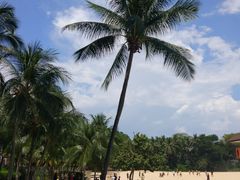 -巴拉湾海滩