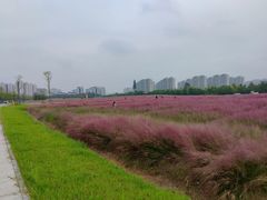 -临平南高铁站(地铁站)