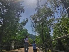 -西安秦岭野生动物园