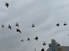 -白鹭洲公园