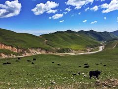 -青海湖国家重点风景名胜区