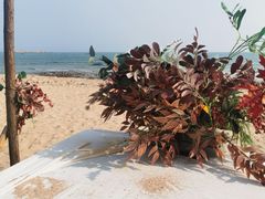 -蟹之国·精品蟹料理(极地店)