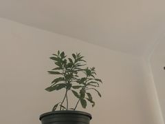 -老版火锅.12年西安排队王(沣峪口店)