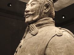 -秦始皇帝陵博物院(兵马俑)