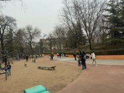 -酷酷兔少儿拓展天地