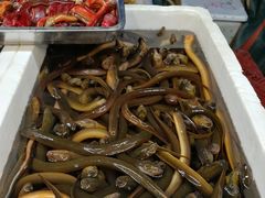 -岳各庄批发市场(西四环中路店)