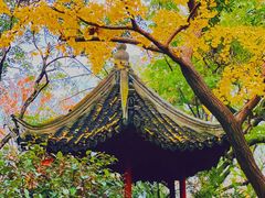 -秋霞圃