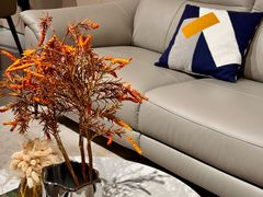 -欧亚达家居(古墩店)