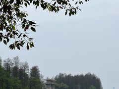 -东湖落雁景区