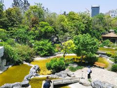 -上海吴淞炮台湾国家湿地公园