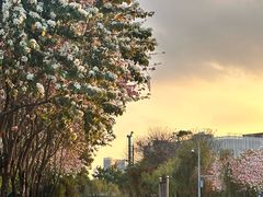 -飞翔公园(地铁站)