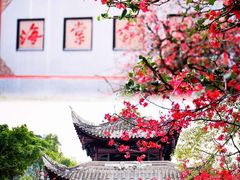 -棠湖公园