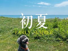 -秦皇岛阿尔卡迪亚滨海度假酒店