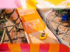 -重庆海昌加勒比海水世界