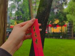-灵隐飞来峰景区