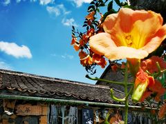 -乌石村