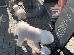-星巴克(珠海仁恒滨海中心店)