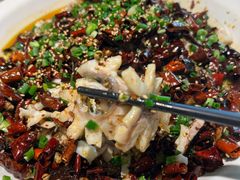 -三猫黑鱼花(南大店)