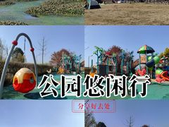 -两河城市森林公园