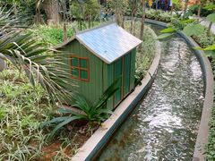 -南宫五洲植物乐园