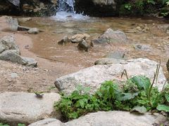 -抱龙峪