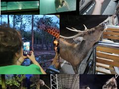 -清迈夜间动物园