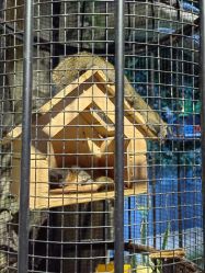 -酷嗒动物文化乐园(cutezoo西溪乐天城店)