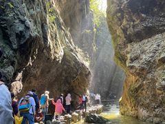 -牛背梁国家森林公园