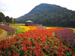 -广州市石门国家森林公园