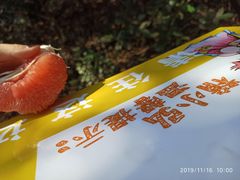 -午潮山国家森林公园
