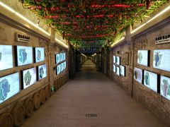 -青岛葡萄酒博物馆