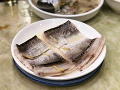 海鳗-红灯笼龙凤饭店(宁波老字号店)