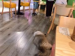 -乐汇城