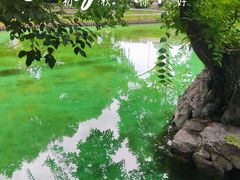 -静安公园(静安寺街道)