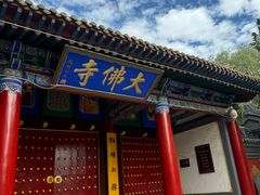 -张掖大佛寺景区