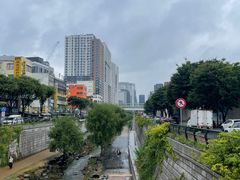 -东大门市场