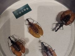 -陕西自然博物馆